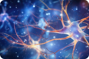 التأهيل والاندماج المجتمعي